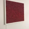 Square moss wall art panel with dark red reindeer moss in a white frame mounted on a wall.