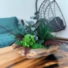 Carved wooden bowl with preserved moss and eucalyptus stems displayed on a live-edge coffee table.