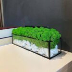 Moss in a Jar with White Stones – Forest Geometry - Image 2