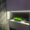 Rectangular glass planter with white stones and bright green moss on an illuminated wall niche.