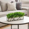 Green preserved moss planter with white stones in a black geometric frame on a living room coffee table