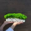 Rectangular geometric centerpiece planter with preserved moss and decorative stones held in hands