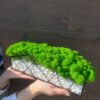 Rectangular glass planter filled with white stones and bright green moss, held in hands against a wood wall.