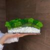 Rectangular glass planter with preserved moss and decorative stones held against a wood-paneled wall.