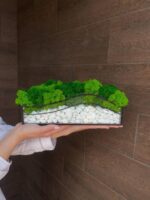 Mosarium - Green Wave: Moss in Glass with White Stones