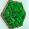 photo_2025-09-09_20-07-18_result.webp Hexagon wall art filled with textured green ball moss in a dark wood frame, side view.