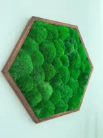 Hexagon Moss Wall Art with Cushion Moss - Image 2