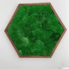 photo_2025-09-09_20-07-32_result.webp Hexagonal ball moss wall art in a dark brown wood frame against a white wall.