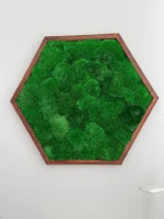 Hexagon Moss Wall Art with Cushion Moss - Image 3