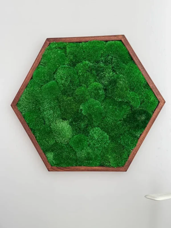 Hexagon Moss Wall Art with Cushion Moss - Image 3