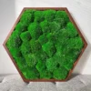 photo_2025-09-09_20-07-37_result.webp Hexagonal wooden frame filled with green preserved ball moss on a gray tufted cushion