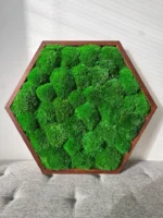 Hexagon Moss Wall Art with Cushion Moss - Image 4