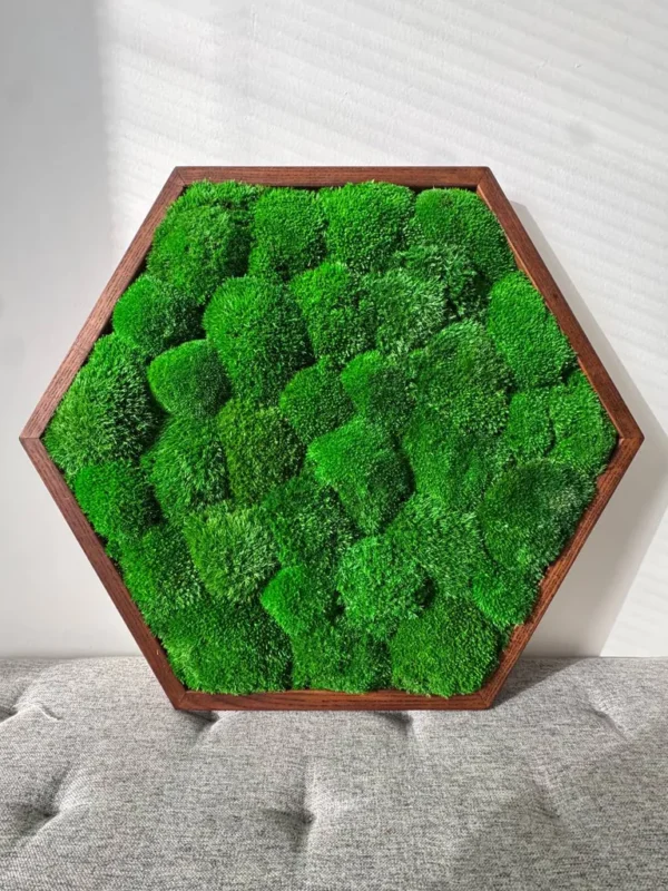 Hexagon Moss Wall Art with Cushion Moss - Image 4