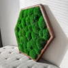 photo_2025-09-09_20-07-40_result.webp Hexagonal green ball moss frame resting on a gray tufted ottoman in natural light.