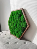 Hexagon Moss Wall Art with Cushion Moss - Image 5