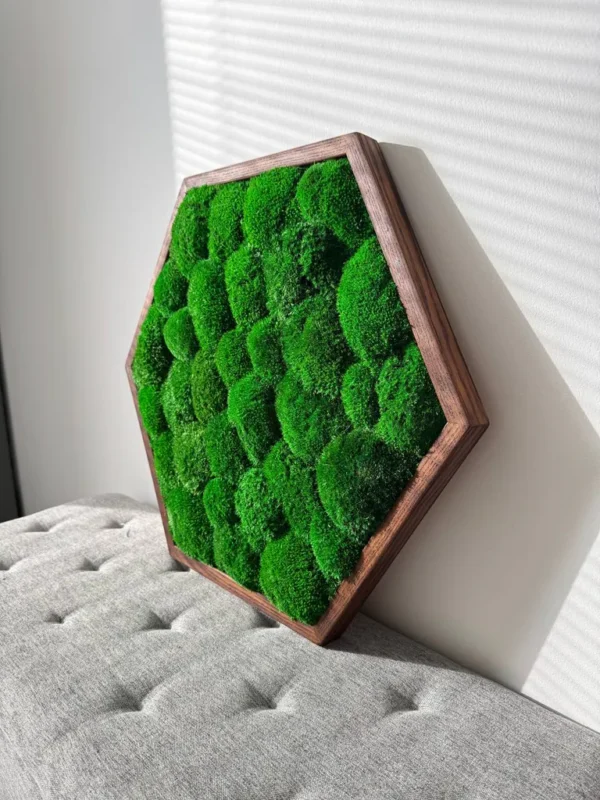 Hexagon Moss Wall Art with Cushion Moss - Image 5