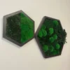 photo_2025-09-16_17-07-22_result.webp Two hexagon moss wall art frames in dark wood, filled with green ball and flat moss on a white wall