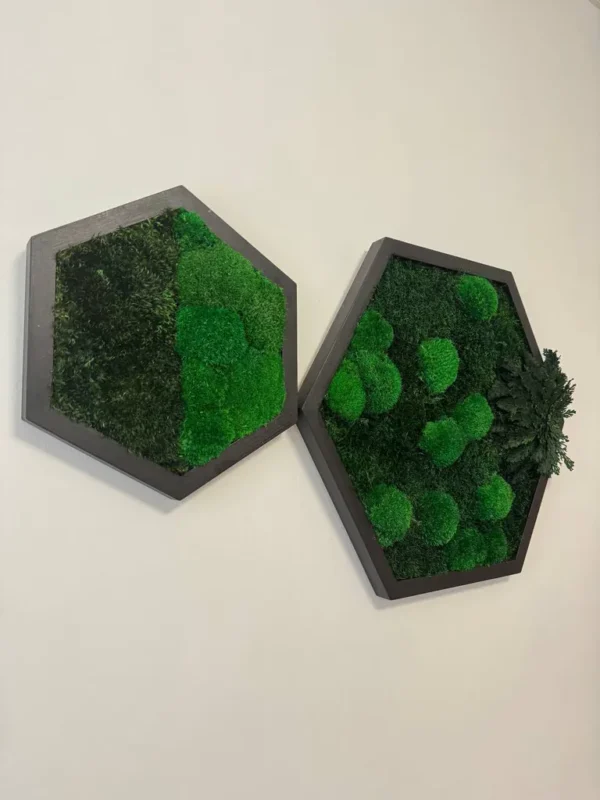 Hexagon Moss Wall Art with Reindeer Moss and Provence Moss - Image 4