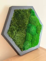 Hexagon Moss Wall Art with Reindeer Moss and Provence Moss - Image 3
