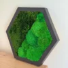 photo_2025-09-17_09-10-49_result.webp Angled view of black hexagon moss wall art with textured green ball moss displayed on a wooden surface.