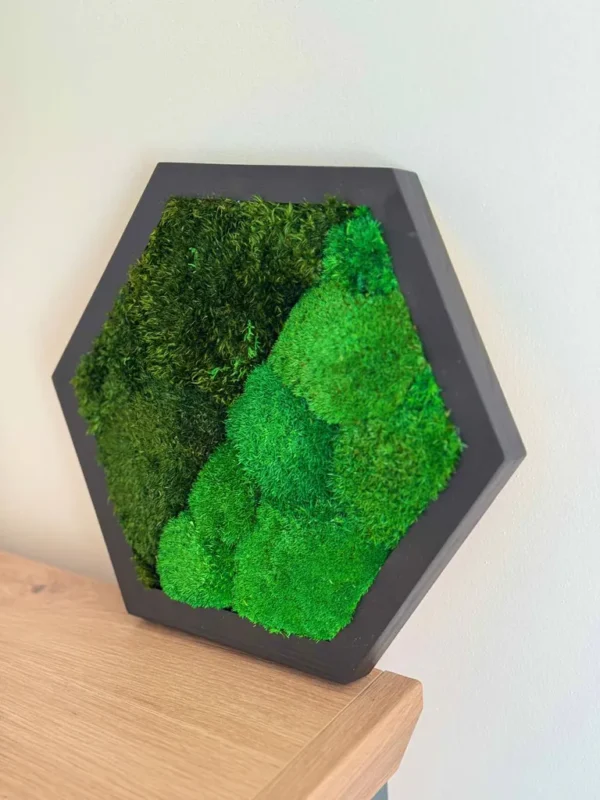 Hexagon Moss Wall Art with Reindeer Moss and Provence Moss - Image 2