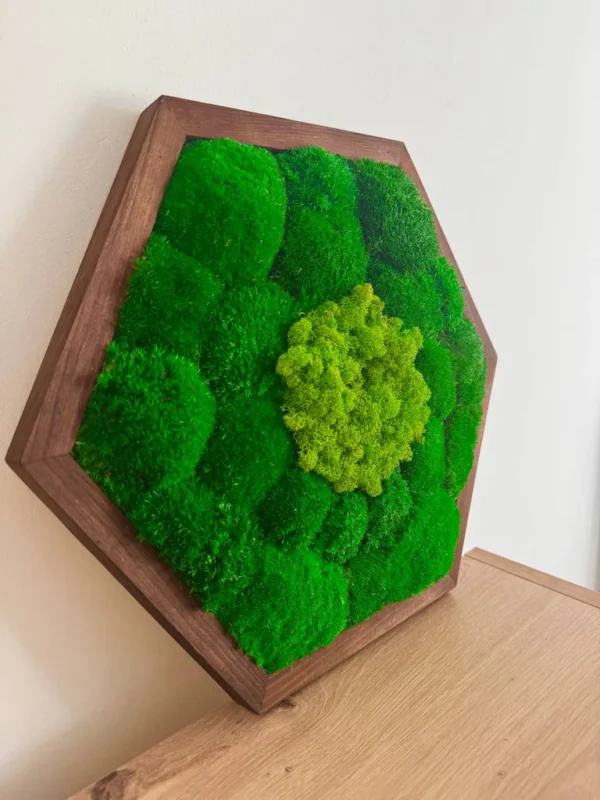 Hexagon Moss Wall Art with Ball Moss and Reindeer Moss - Image 4