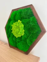 Hexagon Moss Wall Art with Ball Moss and Reindeer Moss - Image 2