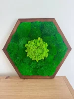 Hexagon Moss Wall Art with Ball Moss and Reindeer Moss - Image 3