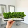Hand holding a glass terrarium planter with stabilized moss and stones in a black metal frame.
