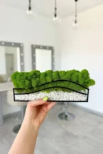 Mosarium – Color Oasis: Moss in a Glass Jar with White Stones