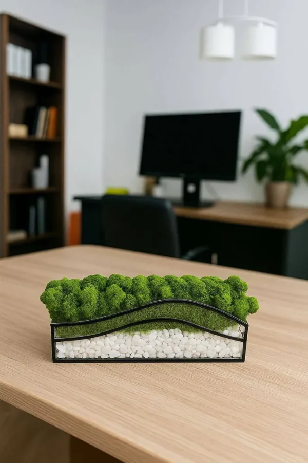 Mosarium – Color Oasis: Moss in a Glass Jar with White Stones - Image 2