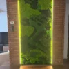 Backlit preserved moss wall art with mixed green moss textures mounted between brick pillars.
