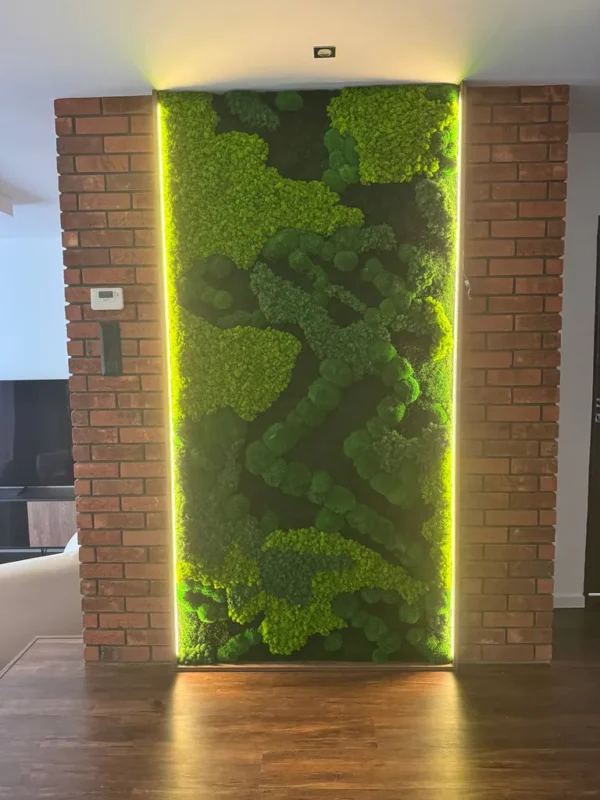 Moss Wall Price Calculator – Calculate Custom-Sized Moss Wall Online - Image 2