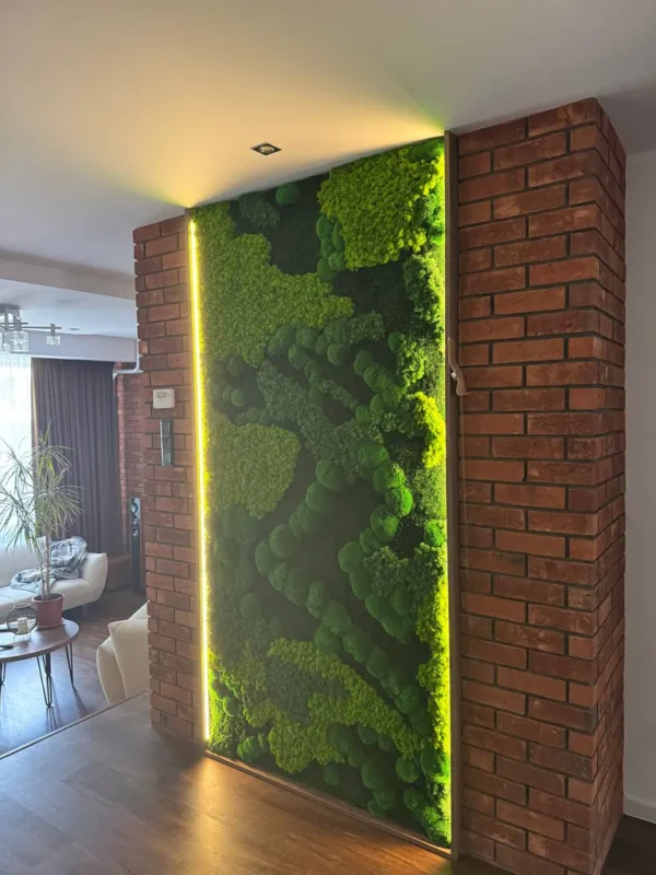 Moss Wall Price Calculator – Calculate Custom-Sized Moss Wall Online - Image 11