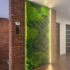 Vertical preserved green moss wall with LED backlighting integrated into a red brick partition wall.