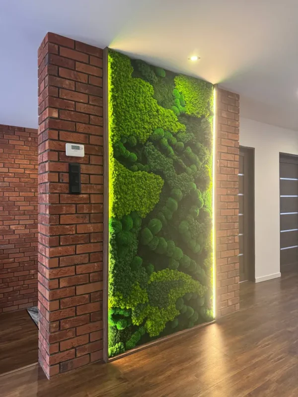 Moss Wall Price Calculator – Calculate Custom-Sized Moss Wall Online - Image 12