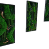 Side view of three rectangular moss wall art panels in black frames with green ball moss, ferns, and wood accents.