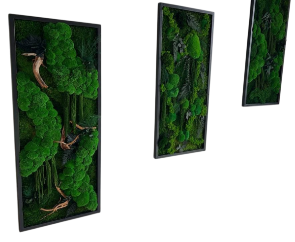 3-Piece Moss Picture Set: Jungle Cascade with Cushion Moss - Image 7