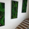 Three green moss wall art panels in black frames installed on a wall beside an open staircase