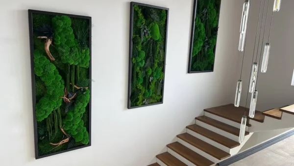 3-Piece Moss Picture Set: Jungle Cascade with Cushion Moss - Image 2