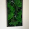 Vertical moss wall art panel with green ball moss and hanging preserved foliage in a black frame.