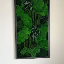 Moss Art “Boulder Moss Jungle Cascade” – Plants Edition