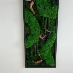 Moss Picture “Ball Moss Jungle Cascade” – Driftwood Edition