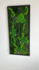 Moss Picture “Jungle Cascade” – Plants Edition