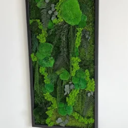 Moss Picture “Jungle Cascade” – Plants Edition