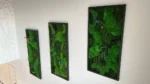 Moss Art “Boulder Moss Jungle Cascade” – Plants Edition - Image 3