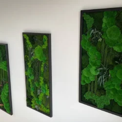 3-Piece Moss Picture Set: Jungle Cascade with Cushion Moss