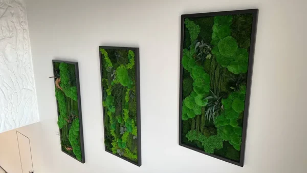 Moss Art “Boulder Moss Jungle Cascade” – Plants Edition - Image 3