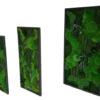 Three-piece moss wall art set featuring preserved plants and greenery in black rectangular frames.