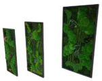Moss Picture “Jungle Cascade” – Plants Edition - Image 3